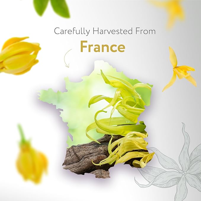 HBNO Ylang Ylang Essential Oil - 1 OZ (30 ml) Travel Size - Perfect for Aromatherapy, DIY, Candle Making, Soap Making, Diffusers-Velvo Beauty