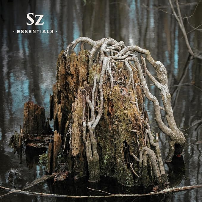 Cypress Essential Oil (Cupressus sempervirens) - 100% Pure & Undiluted - Fresh Crisp & Woody Aroma with Overtones of Earth and Evergreen - Therapeutic Grade and Vegan - 0.17 oz (5ml)-Velvo Beauty