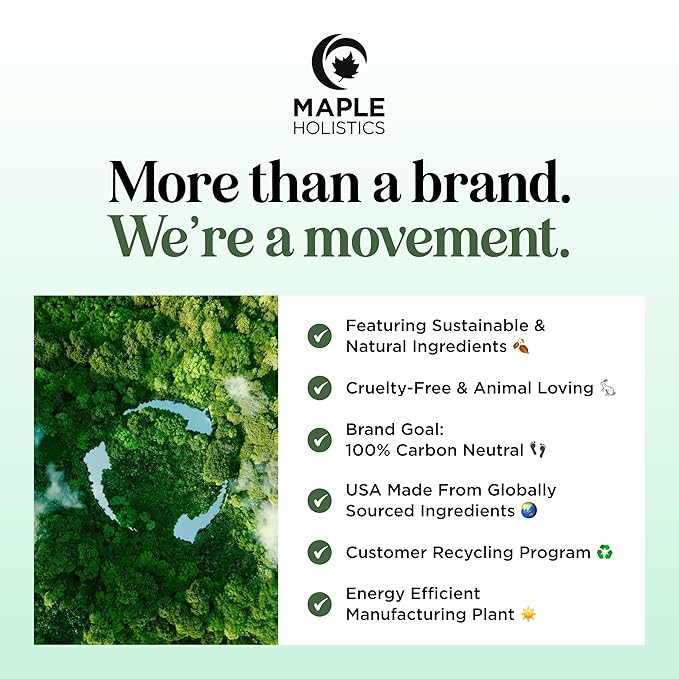 Shampoo and Conditioner for Oily Hair and Scalp - Sulfate and Paraben Free Shampoo and Conditioner Set for Oily Hair with Deep Cleansing Tea Tree Oil - Vegan Color Safe & Cruelty Free (16 Fl Oz)-Velvo Beauty