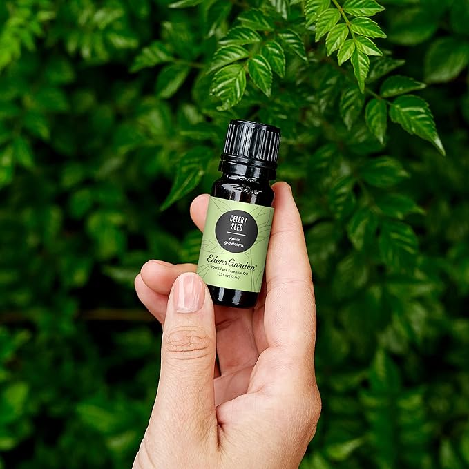 Edens Garden Celery Seed Essential Oil- 100% Pure Premium Grade, Undiluted, Natural, Therapeutic, Aromatherapy, The Best for Diffuser, Skin, Candle, Laundry 10 ml (.33 fl oz)-Velvo Beauty