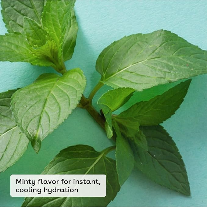 eos Medicated Lip Balm - The Fixer | Lip Care to Repair and Protect Chapped and Dry Lips | Instant Cooling and Pain Relief with Natural Ingredients | 0.35 oz-Velvo Beauty