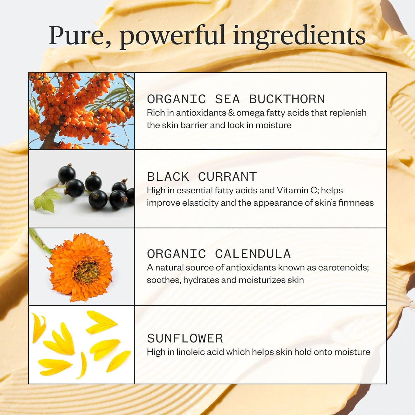 Ursa Major Golden Hour Face Moisturizer | Vegan Recovery Cream for Daily Facial Moisturizing | Repair & Hydrate | Natural Formula for All Skin Types | Cruelty Free & Non-Toxic 1.57 oz-Velvo Beauty