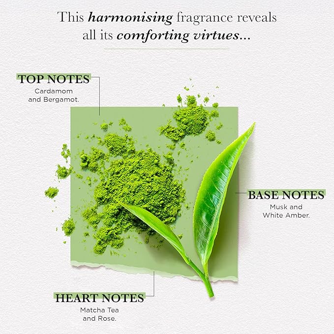 SOLINOTES Matcha Tea Perfume for Women - Eau De Parfum | Delicate Floral and Soothing Scent - Made in France - Vegan - 1.7 fl.oz-Velvo Beauty