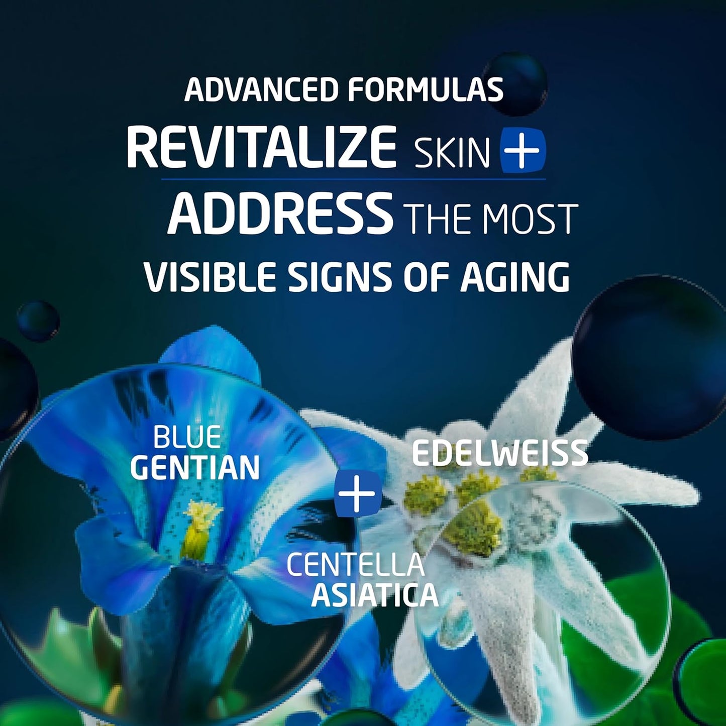 Weleda Face Care Rejuvenating Night Cream, Plant Rich Moisturizer with Blue Gentian and Edelweiss-Velvo Beauty