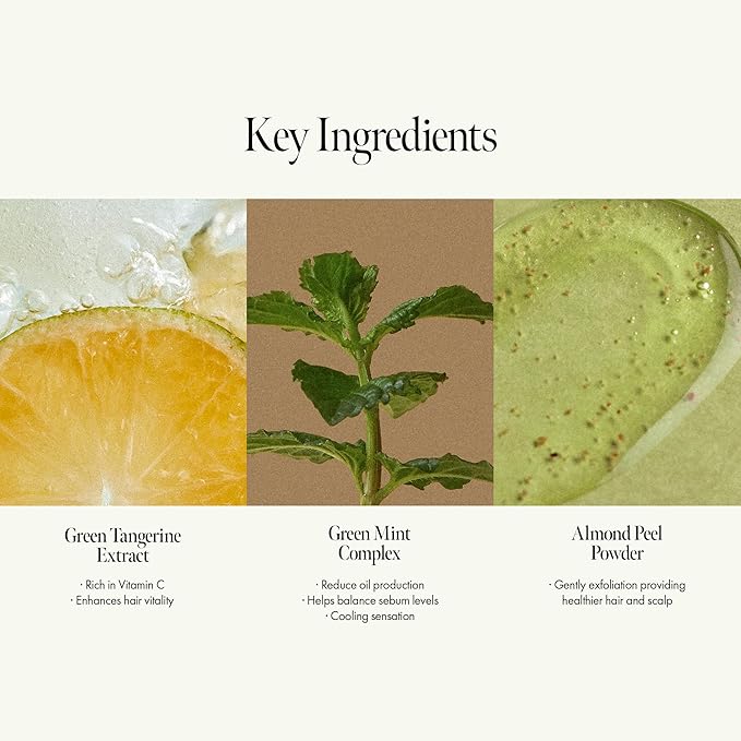 Lime Sunday Refresh Shampoo with Vitamin C, Korean Jeju Tangerine, Mint & Almond Powder for Oily Scalp Care – Exfoliating, Deep Cleansing, Lime Citrus Scent, Silicone & Paraben-Free (15.22 fl.oz)-Velvo Beauty