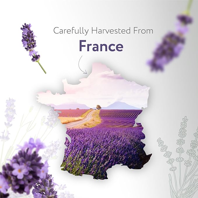 HBNO California Bottled Dutch Lavender Essential Oil 4 fl oz (120ml) - Natural Lavender Oil for Skin, Perfect for Cleaning, Aromatherapy, DIY & Diffuser-Velvo Beauty