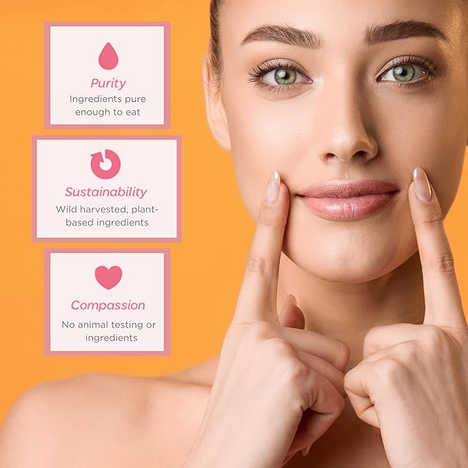 Natural Lip Butter Lip Balm - Ginger Lemon - Pure Enough to Eat - Made With Just 6 Vegan Ingredients - 100% Natural & Organic Moisturizing Lip Care for All Day Hydration (4-Pack)-Velvo Beauty