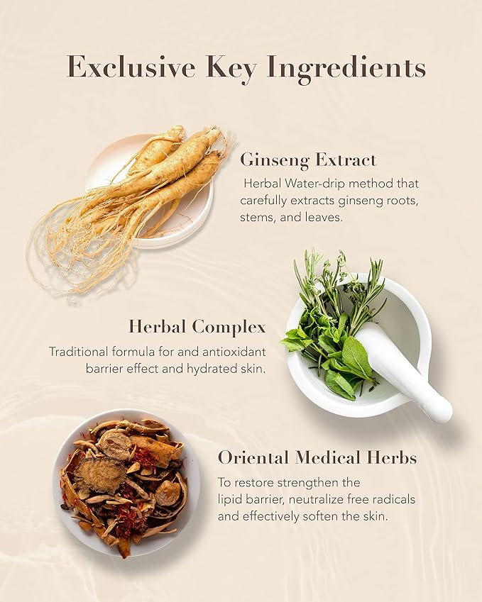 Sooryehan BON Extra Moisture Cream (1.7fl oz) - Premium Skin Moisturizer for Skin Barrier Night Repair, Red Ginseng | Korean Skincare-Velvo Beauty