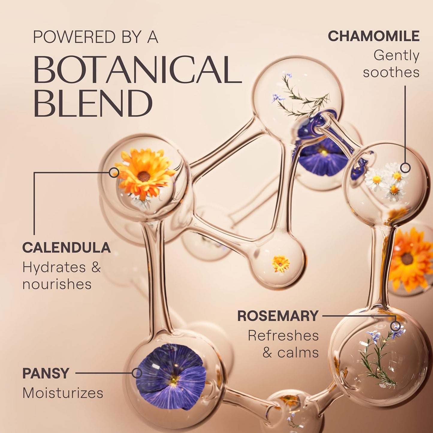 Weleda - Skin Food Light Moisturizing Cream 3-pack - Fast-Absorbing, Ultra-Hydrating Formula with Sunflower Oil and Pansy Extract-Velvo Beauty