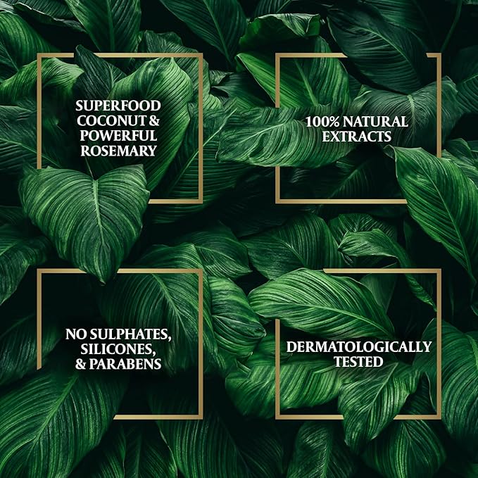 Parachute Advansed Rosemary Hair Oil with Coconut| For 2x Longer & Thicker Hair| Reduces Hairfall & Strengthens Hair| All Hair Types|No Parabens & Silicones| 10.1 Fl.oz.-Velvo Beauty