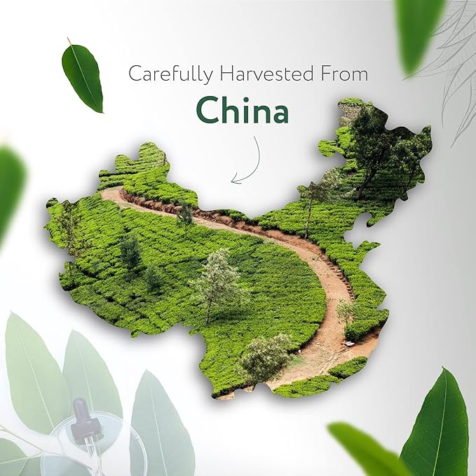 HBNO California Bottled Organic Eucalyptus Essential Oil (Globulus) - 4 fl oz (120ml) - USDA Certified Organic - Ideal for Diffuser, Hair, Face, Skin Care, Aromatherapy, Scalp & Body Massage-Velvo Beauty