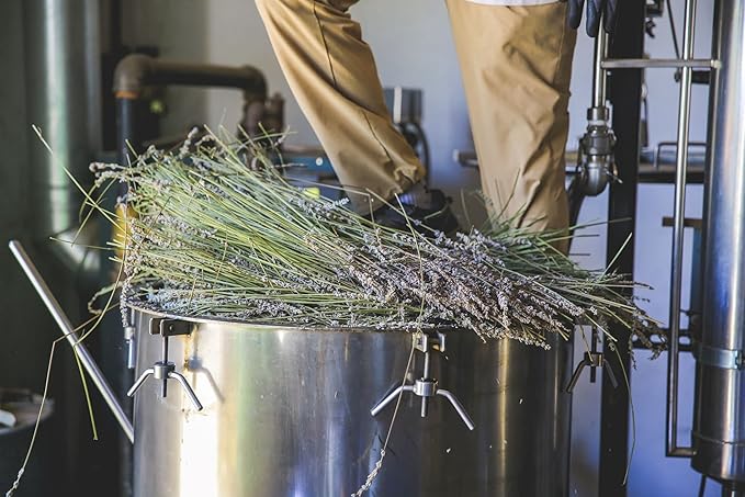 Victoria's Lavender Aromatherapy Body Mist Spray - After Sun Solar Recovery Spray with Aloe Vera plus Lavender Essential Oil - Hydrating, Moisturizing Aloe Vera Mist, Made in the USA, 4 oz (120 ml)-Velvo Beauty