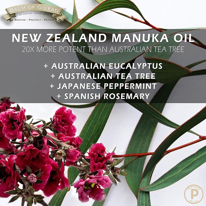 BALM OF GILEAD Tea Tree Balm - 2 fl oz Foot Cream with Tea Tree and Manuka Oil - Intensive Moisture for Itchy Feet, Eczema, Rashes & Dry Skin - Pure Balm That Softens Skin Irritations-Velvo Beauty