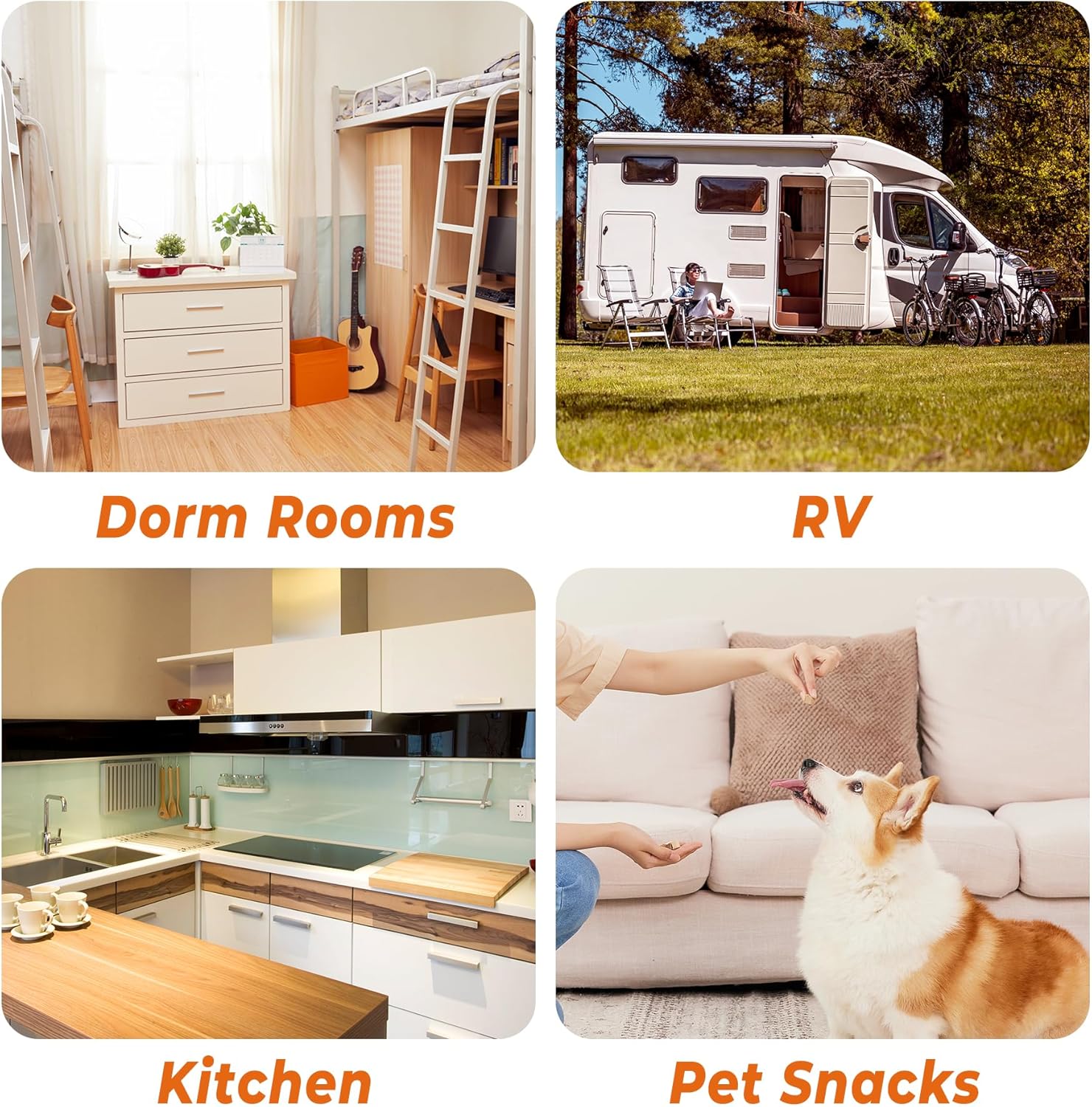 Stainless Steel Mini Food Dehydrator Dryer- 6 Stainless Steel Trays, Digital Adjustable Timer, 400W, 176°F, Temperature Control, for Jerky, Herb, Meat, Beef, Fruit and Pet Treats, Model 2016YJ, Silver-Velvo Beauty