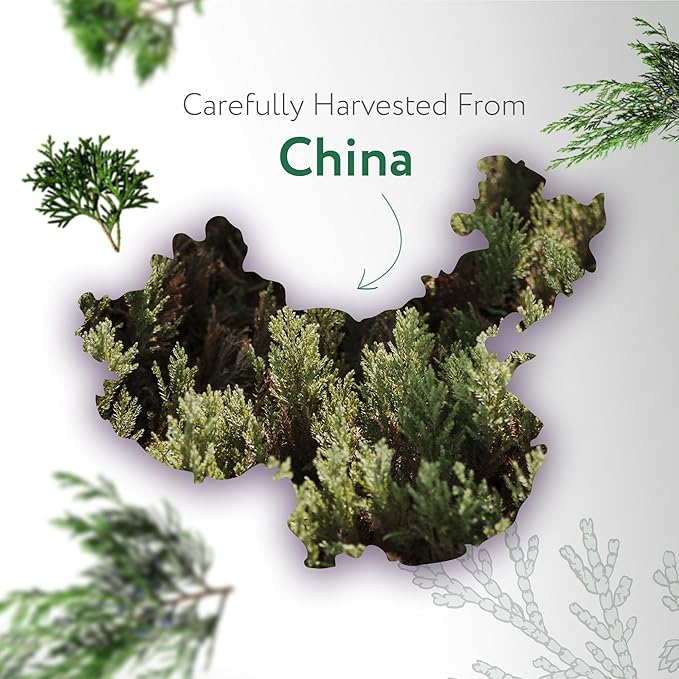 HBNO Cedarwood Essential Oil - Huge 4 oz (120ml) Value Size - Natural Cedarwood Oil - Perfect for Cleaning, Aromatherapy, DIY, Soap & Diffuser-Velvo Beauty