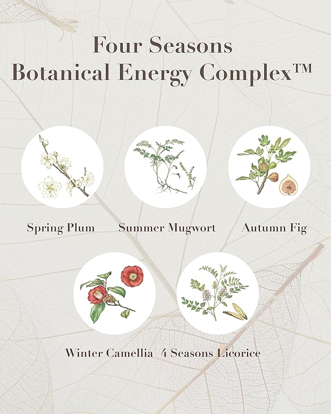Sooryehan SAGA OF SOO BOTANICAL ENERGY AGE DELAY CREAM GIFT SET (150 ml / 5.07 Fl Oz) - Korean Skin Care by LG BEAUTY. Botanical Energy Cream, Boosting Toner, Balancing Moisturizer, Foam Cleanser.-Velvo Beauty