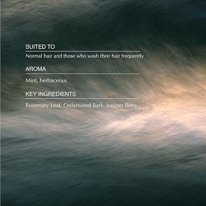 Aesop Classic Shampoo | Gentle Formulation | Leaves Hair Shiny, Soft, Freshened | Rosemary Leaf, Cedarwood Bark, Juniper Berry | 16.9 oz / 500mL-Velvo Beauty