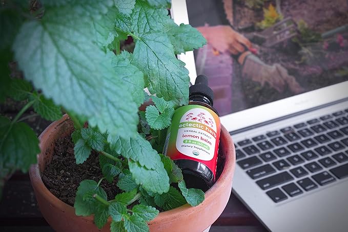 Eclectic Herb Organic Lemon Balm Extract - 2 oz - Non-GMO, Gluten-Free, Soy-Free, Dairy-Free - Pure Herbal Extract for Calming and Relaxation-Velvo Beauty