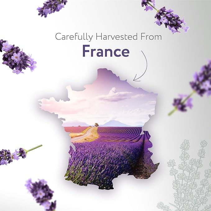 HBNO Lavender Dutch Oil - 32 oz (950 ml) Large Size - Ideal for Shampoos, Conditioners, Mouth Washes, Face wash, Lotions, and Skin Care Products (Glass Bottle).-Velvo Beauty