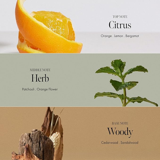 Patchouli Garden Damage Repair Shampoo - Korean Hair Care Nourishing Shampoo for Men & Women w/Patchouli Leaf Water, Protein Complex & Green Herb Complex - Vegan Scalp Cleanser (15.22 fl.oz)-Velvo Beauty