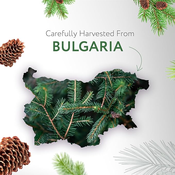 HBNO Fir Needle Essential Oil - Huge 4 oz (120ml) Value Size - Natural Fir Needle Oil - Perfect for Cleaning, Aromatherapy, DIY, Soap and Diffuser-Velvo Beauty