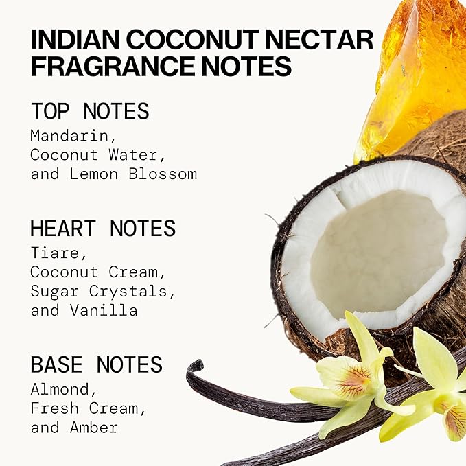 Pacifica Beauty, Wanderlust Spray Perfume Trial Set, Island Vanilla, 5 Scents, Fragrance Sampler Gift Set, Natural & Essential Oils, Clean, Vegan & Cruelty Free-Velvo Beauty