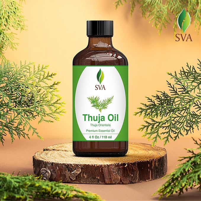 SVA Thuja Essential Oil – 4 Fl Oz – 100% Natural Thuja Oil - for Diffuser, Hair Care, Face, Skin Care, Aromatherapy, Scalp and Body Massage, Soap and Candle Making – with Dropper-Velvo Beauty