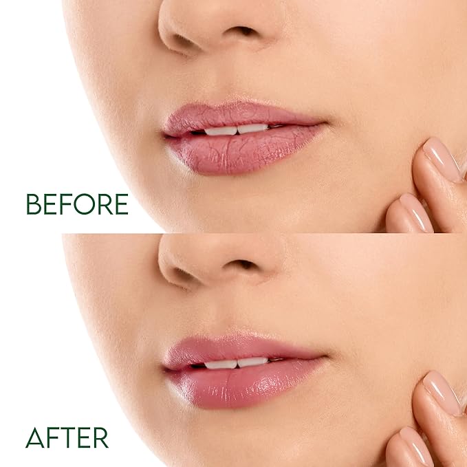 Organic Lip Balm, Spearmint Flavor, Ultra Hydrating Lip Moisturizer for Dry Lips, Oval Shaped Tube, USDA Certified Organic, 3 Pack - OrganiLip-Velvo Beauty