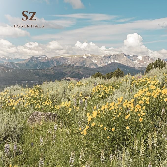 Arnica Essential Oil (Arnica Montana) – Therapeutic Grade, 100% Pure & Undiluted with Fresh Herbal Aroma for Soothing Relief, Aromatherapy, Muscle Recovery & Skin Care - Vegan 0.17 oz-Velvo Beauty