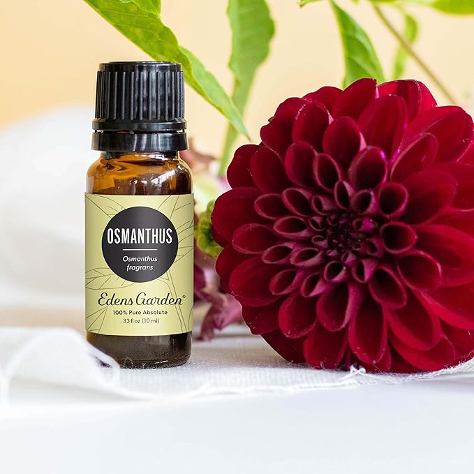 Edens Garden Osmanthus Essential Oil- 100% Pure Premium Grade, Undiluted, Natural, Therapeutic, Aromatherapy, The Best for Diffuser, Skin, Face, Hair 30 ml (1 fl oz)-Velvo Beauty