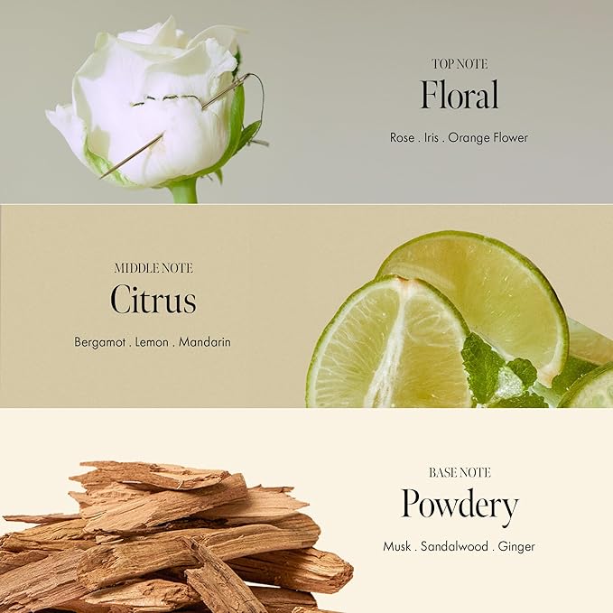 Rosy Night Repair Shampoo – Anti-Dandruff & Damage Repair with Damask Rose Water & Ceramide – Color Safe, Silicone & Sulfate Free (15.22 fl. Oz)-Velvo Beauty