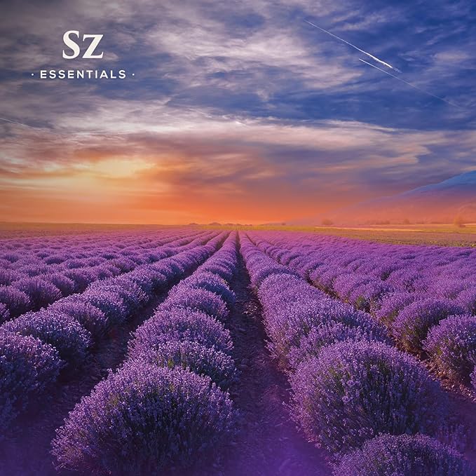 Kashmir Lavender Essential Oil – 100% Pure & Undiluted – Sweet Floral Scent for Relaxation, Aromatherapy, Self-Care, Natural Perfumery – Vegan & Therapeutic – 0.22 fl oz (6.5 mL)-Velvo Beauty