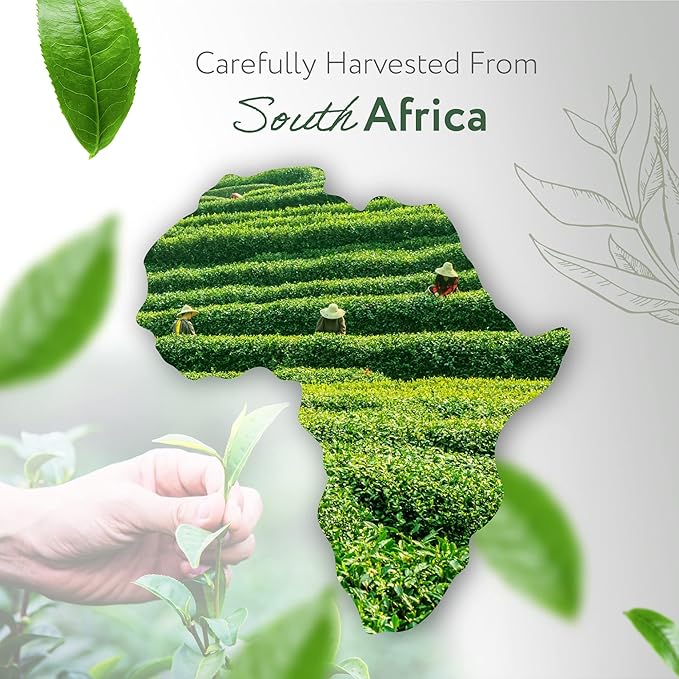 HBNO Tea Tree Oil for Skin 4oz (120 ml) - Bring Refreshing Aroma of Tea Trea Essential Oil - Perfect for Skin Therapy-Velvo Beauty