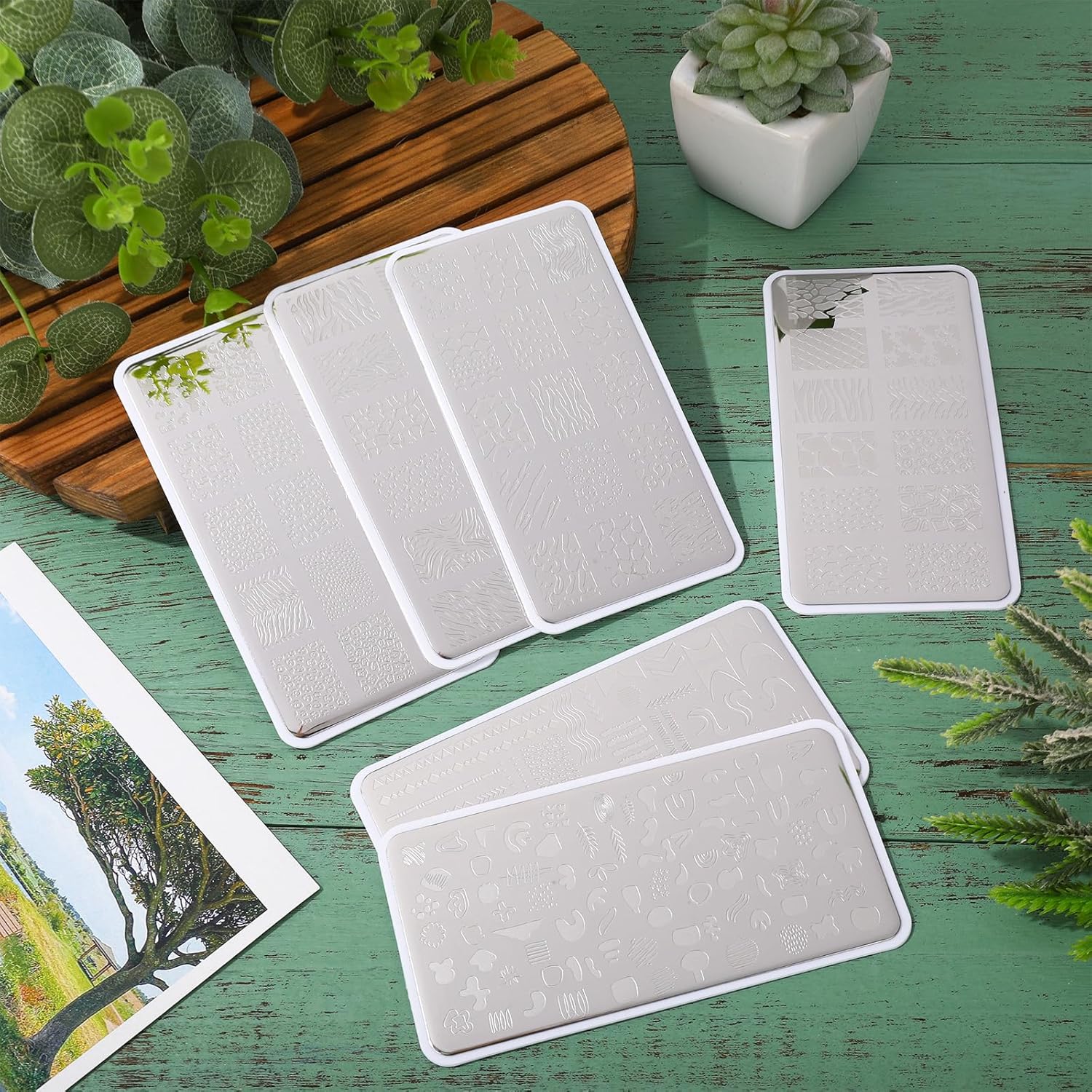 Whaline 6Pcs Animal Print Nail Plates Stamping Set Leopard Print Stamp Templates Nail Art Plates for DIY Print Manicure Salon Design Gift-Velvo Beauty