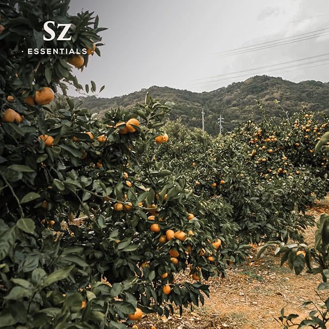 Yuzu Essential Oil - Japan - 100% Pure and Natural, Undiluted - Promotes Natural Solution for Relaxation with Soothing, Fresh and Citrusy Aroma - 0.17 fl oz (5ml)-Velvo Beauty