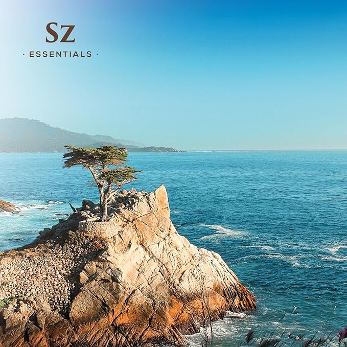 Cypress Essential Oil (Cupressus sempervirens) - 100% Pure & Undiluted - Fresh Crisp & Woody Aroma with Overtones of Earth and Evergreen - Therapeutic Grade and Vegan - 0.17 oz (5ml)-Velvo Beauty