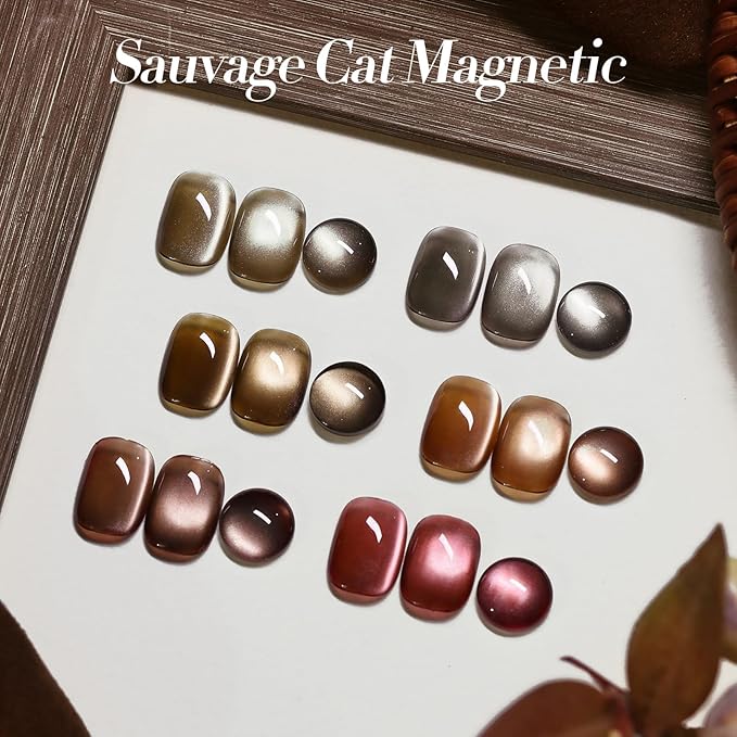 BORN PRETTY Magnetic Gel Nail Polish Water Light Cat Magnetic Eye Gel Brown SaU Vage Jelly Glass Crystal Magnetic Gel Polish Glitter Shimmer Auroras Magnetic Gel Nail Art Manicure Kit 6PCS-Velvo Beauty