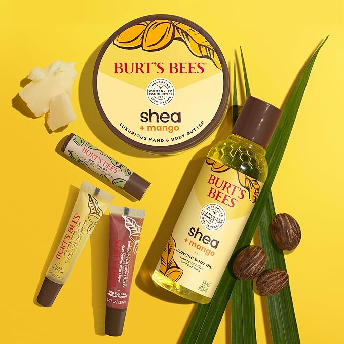 Burt's Bees Lip Balm Mothers Day Gifts for Mom - Shea and Aloe Lip Moisturizer With Responsibly Sourced Beeswax, Tint-Free, Natural Origin Conditioning Lip Treatment, 4 Tubes, 0.15 oz.-Velvo Beauty