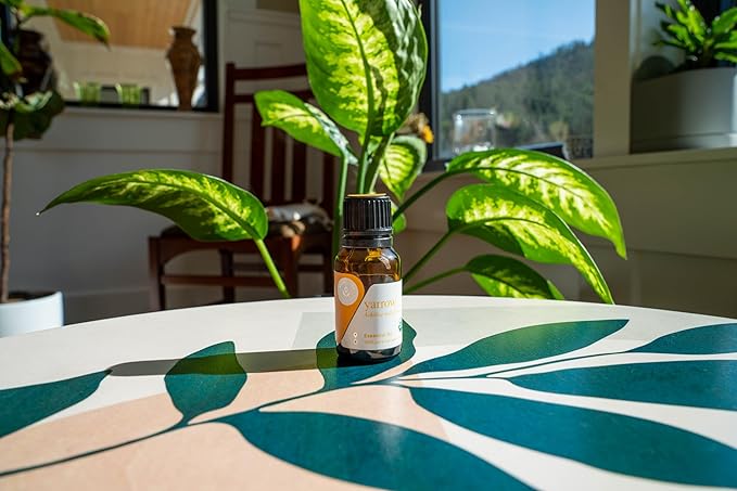 Aromatics International Premium Organic Yarrow Essential Oil 18ml | 100% Pure Essential Oil for Diffusion & Aromatherapy-Velvo Beauty