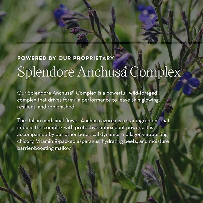 Furtuna Skin Micellar Cleansing Essence Water - Dual-Use Cleanser & Toner, Nutrient-Rich, pH Balanced, Organic Botanicals, Dermatologist Approved-Velvo Beauty