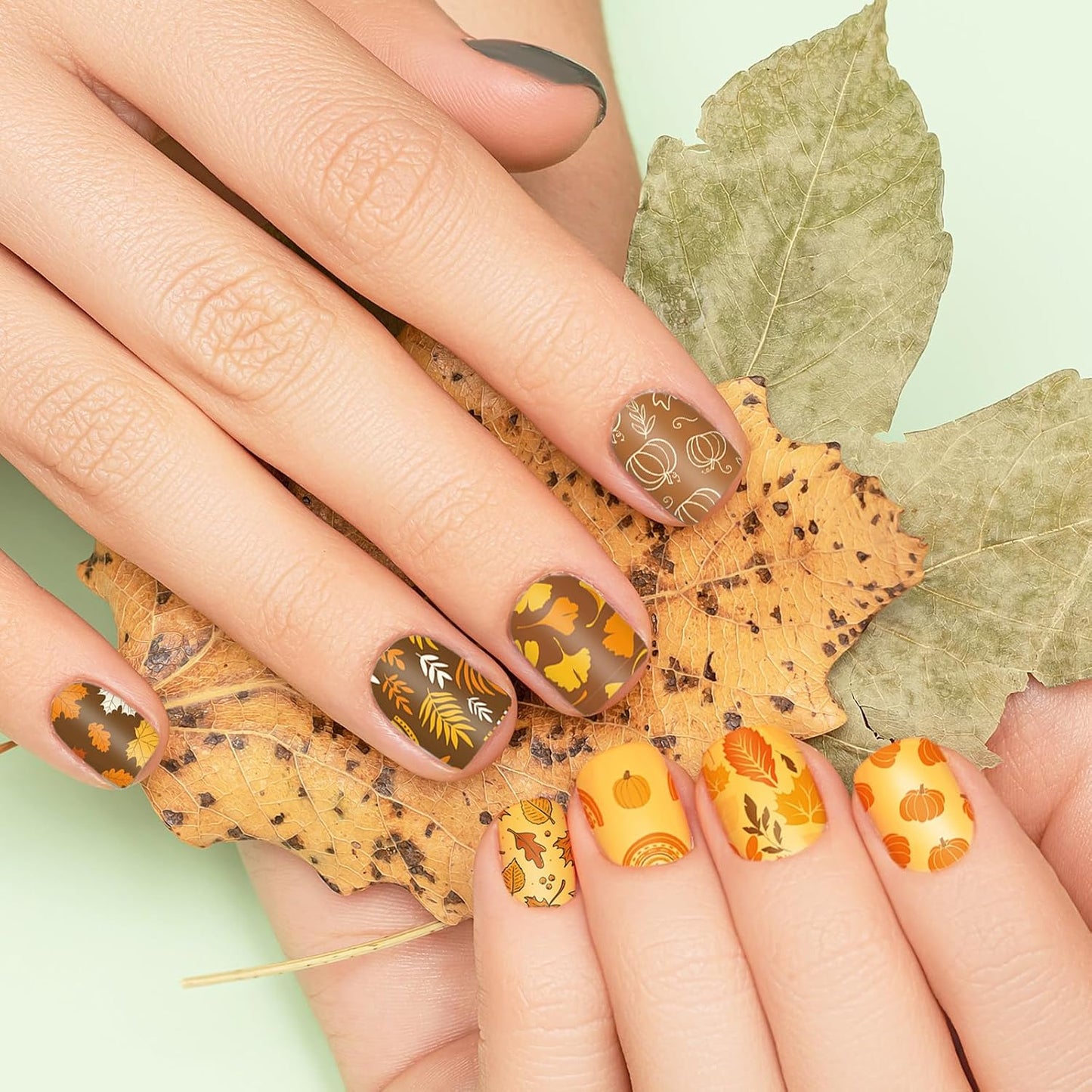 2 Sheet Fall Thanksgiving Nail Art Stamping Plate Kit Assorted Pumpkins Maple Leaves Autumn Blessing Collection Nail Art Plate for Holiday DIY Print Manicure Salon, 5.7 x 3.7inch-Velvo Beauty