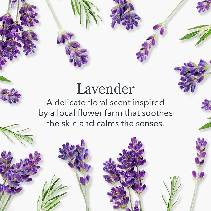 Beekman 1802 Goat Milk Body Lotion, Lavender - Scented - 12.5 oz - Hydrating & Moisturizing with Shea Butter - for Sensitive Skin - Cruelty Free - Packaging May Vary - Pump Included, Ready for Use-Velvo Beauty