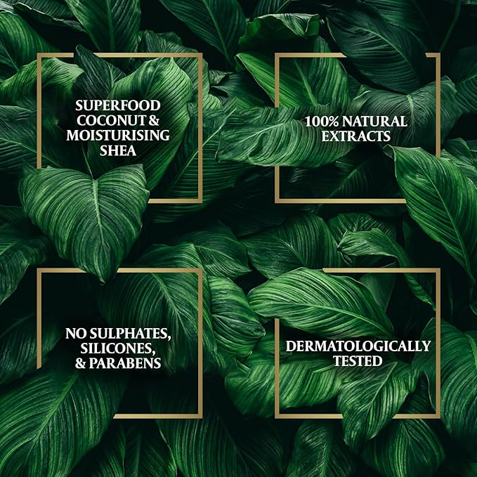 Parachute Advansed Shea Hair Oil| Moisturising Hair Oil |Nourishes Hair| For Frizz- Free, Soft & Shiny Hair| No Silicones & Parabens |6.7 fl.oz-Velvo Beauty