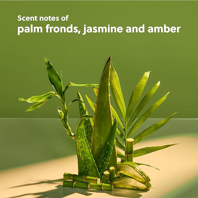 Tree Hut Palm Grove Shea Sugar Scrub | Exfoliating Body Scrub Removes Dead, Dry Skin for a Soft & Hydrated Feel | Nourishing Essential Body Care | 18 fl oz.-Velvo Beauty