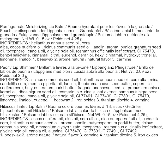 Burt's Bees Mistletoe Kiss Lip Care Stocking Stuffers Holiday Gift Set, Mistletoe Kiss Set, Pomegranate, Peony & Hibiscus-Velvo Beauty