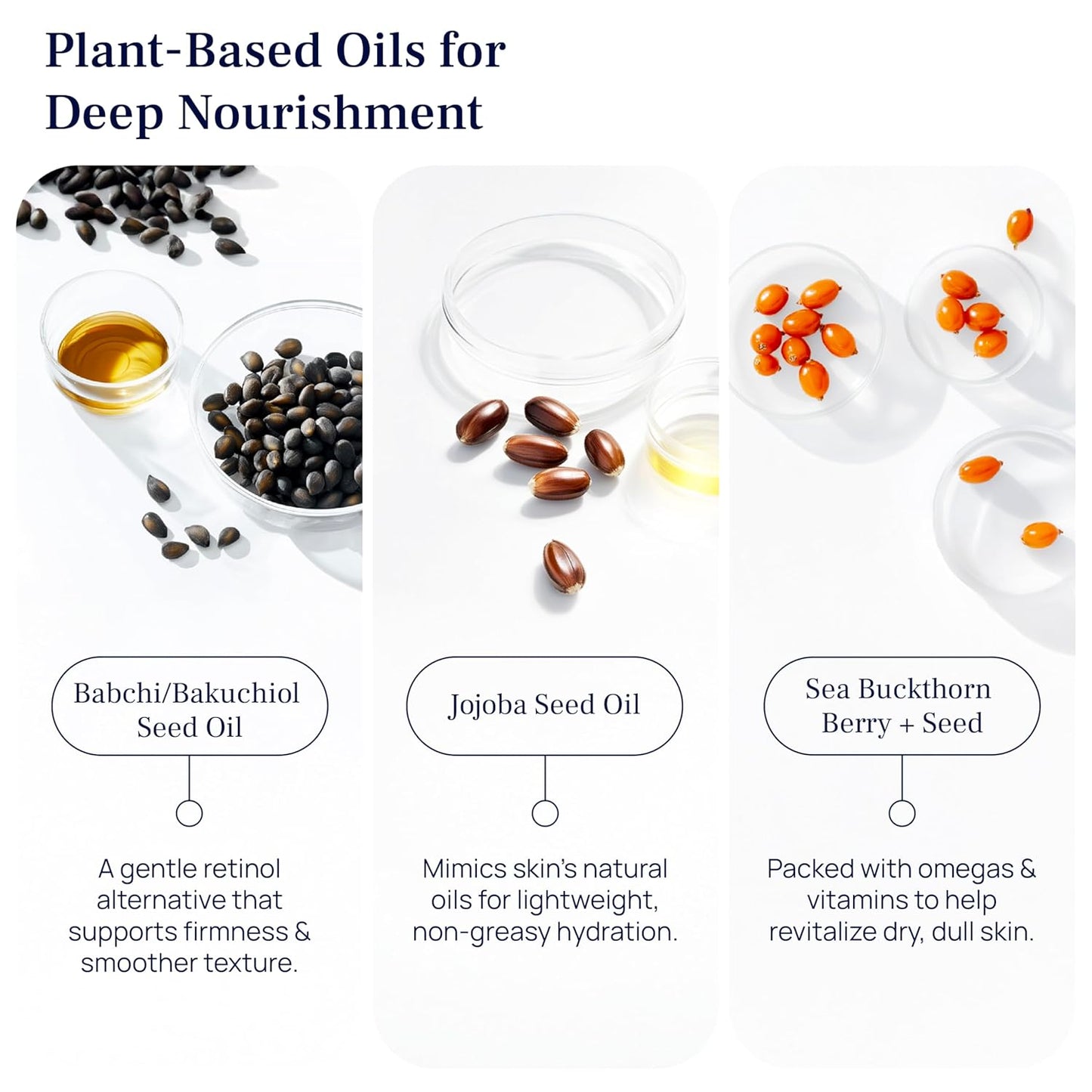 PUREANCE Organic Bakuchiol Plumping Serum - Bakuchiol for Face Skin and Wrinkles - Cellular Restore Serum - With Jojoba Oil, Sea Buckthorn, Camu Camu, Babchi, Maple Leaf Extracts & More - 1 Fl Oz-Velvo Beauty