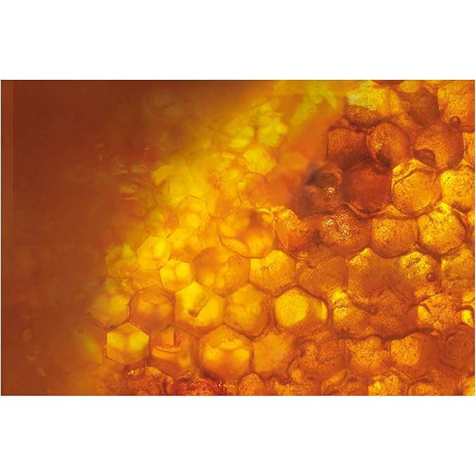 L'Oreal Paris Skincare Age Perfect Hydra-Nutrition All-Over Balm with Manuka Honey Extract and Nurturing Oils, to Soothe and Rescue Dry Skin, Paraben Free, 1.7 oz.-Velvo Beauty