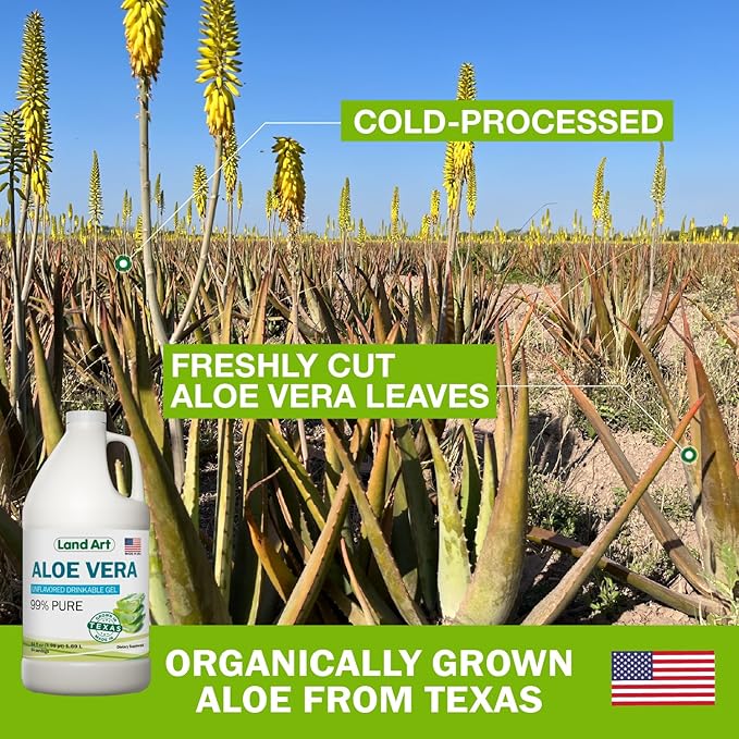 Land Art - Organic Aloe Vera Drinkable Gel for Heartburn & Acid Reflux Relief - 99.7% Pure - Cold-Processed - Improves Digestive Health - Soothing and Natural - Vegan & Gluten-Free - 64 fl oz-Velvo Beauty