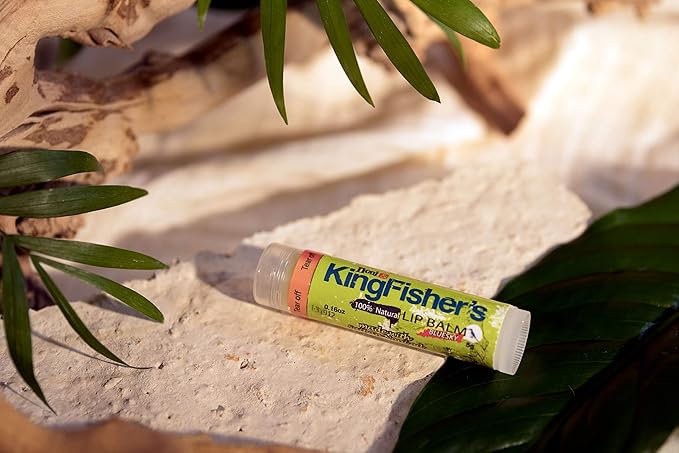 Lip Balm Mint,100% Natural Moisturizing Lip Balm, Ultra Hydrating Lip Care, Original Noni Oil & Virgin Coconut Oil, Fresh Mint Flavor Lip Care (Pack of 2)-Velvo Beauty