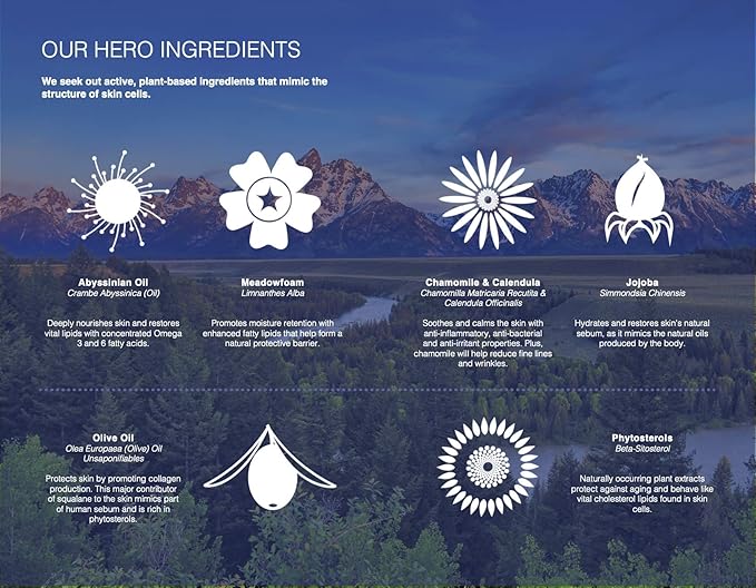 Trilipiderm Weekender Bundle – All-Body Moisture Retention Crème Broad Spectrum SPF 30 with Vitamin D and All-Body Moisture Retention Crème, 8 Ounce Airless Pump Bottles-Velvo Beauty